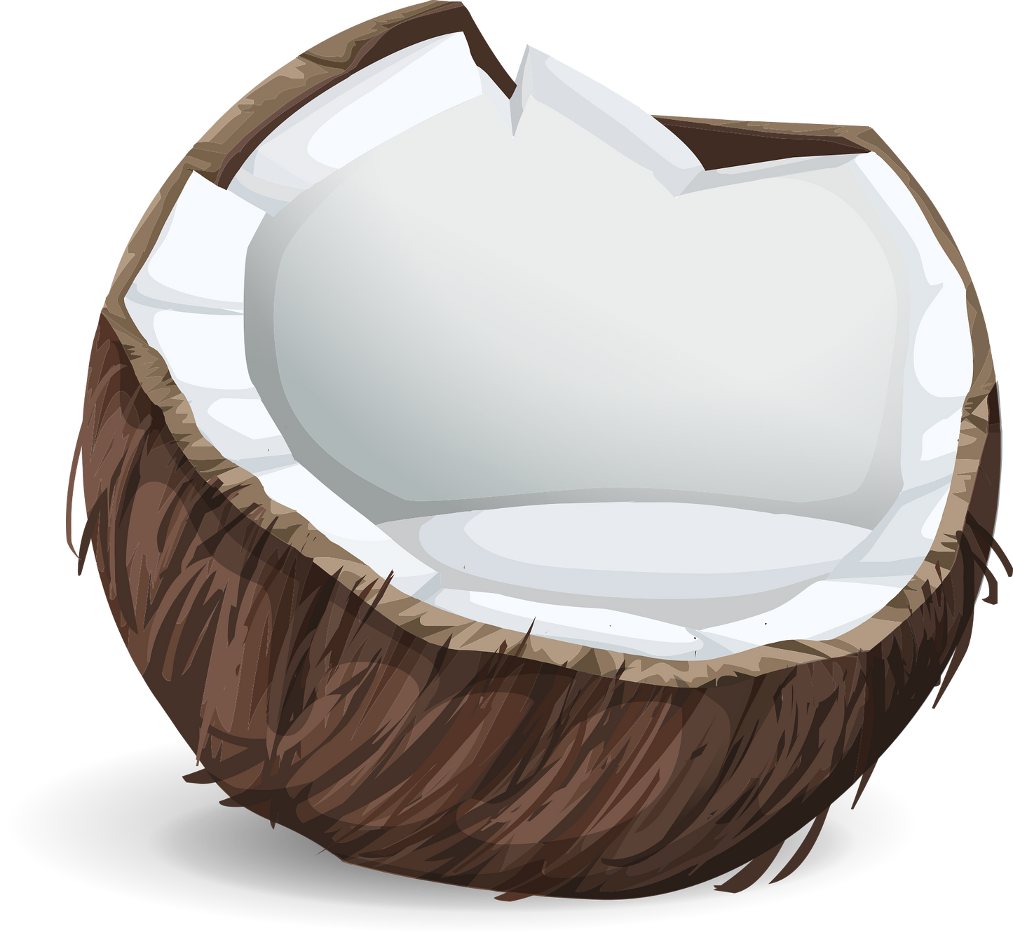 Neige de Coco ( Or )