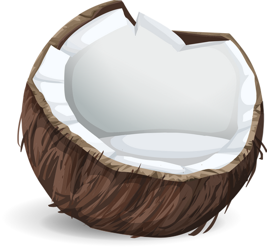 Neige de Coco ( Or )