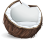 Neige de Coco ( Or )